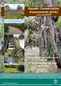 Wide Bay-Burnett Connecting Catchments ACA report