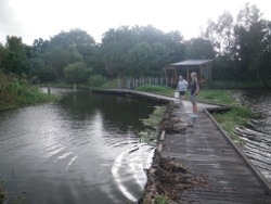 Mackay Botanical Gardens Photo by Reef Catchments