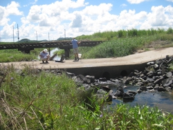 Monitoring Photo by Reef Catchments