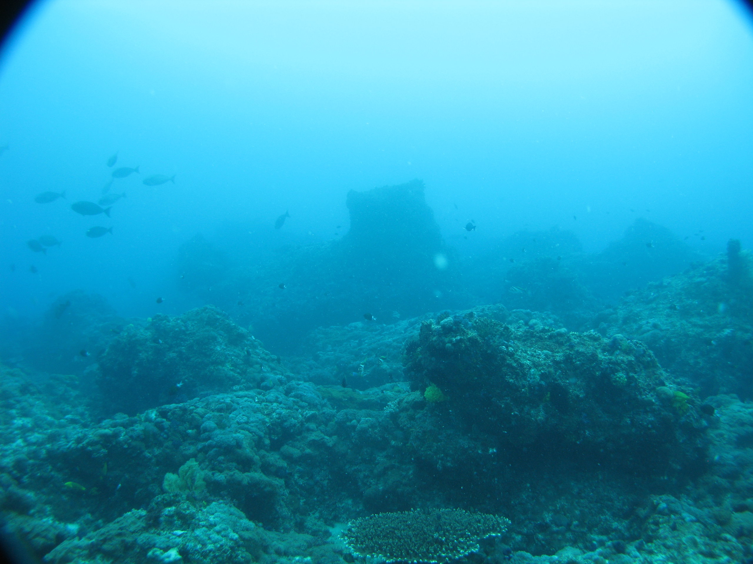 Sandy Cape Shoals. Photo by Queensland Government