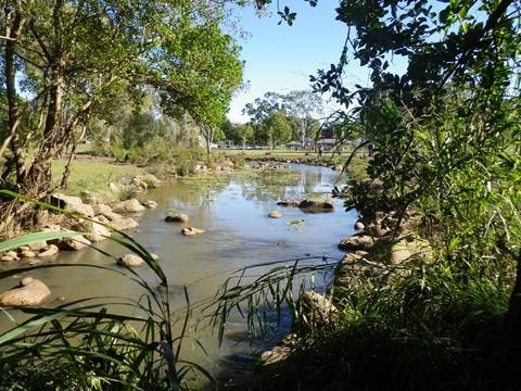 Bypass channel fishway, Baldwin Swamp, Bundaberg, Queensland Photo by Tim Marsden