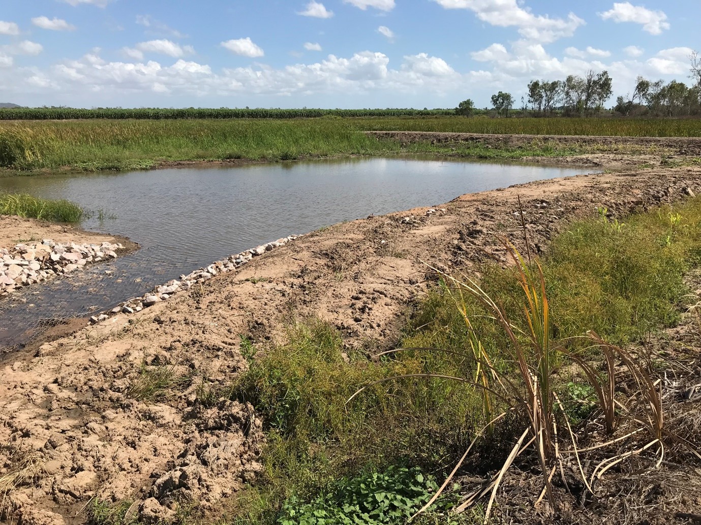 Figure 5 Treatment wetland located at the site of a borrow pit to minimise excavation, showing the sediment basin at the start of the wetland. Photo by Queensland Government