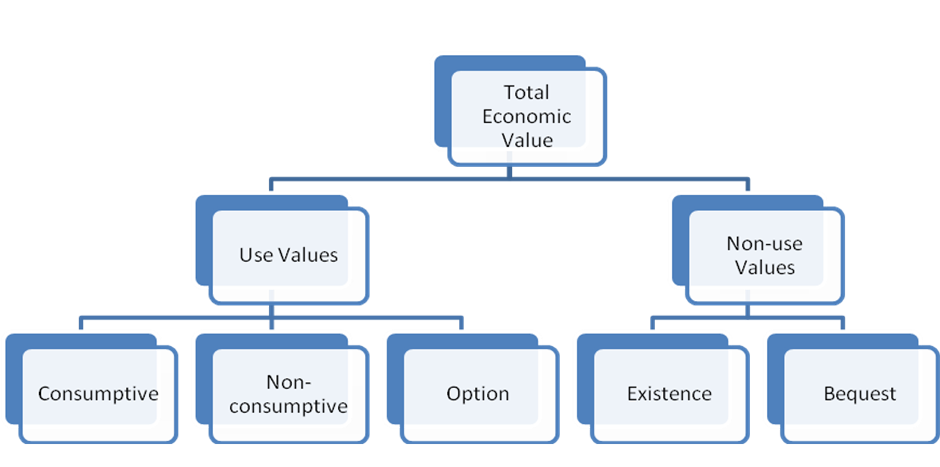 Figure 1 – Total economic value