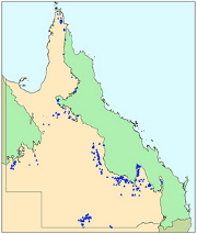 Active Springs (GAB) Photo by Queensland Government